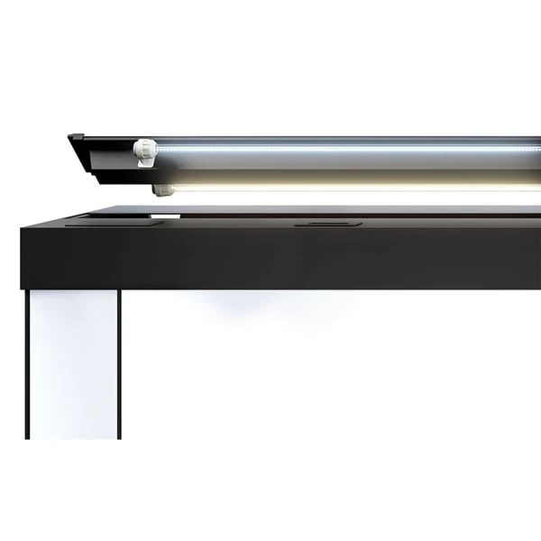 Juwel Rio 240 LED Komplett Aquarium Ohne Schrank – Bild 2