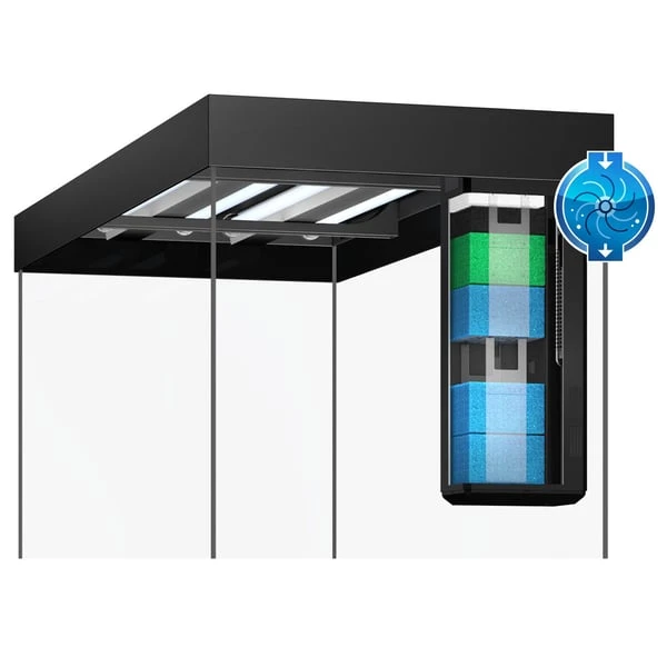Juwel Rio 240 LED Komplett Aquarium Ohne Schrank – Bild 5