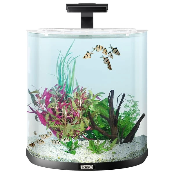 Tetra AquaArt Explorer Line Halfmoon Komplett-Set 60l – Bild 2